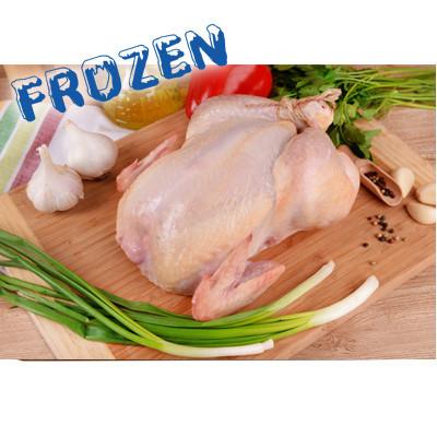 FROZEN Whole Chicken - 1.6kg - Farmers Market Limited